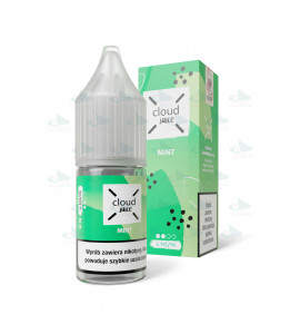 Płyn Cloud Juice 10 ml Mint 06